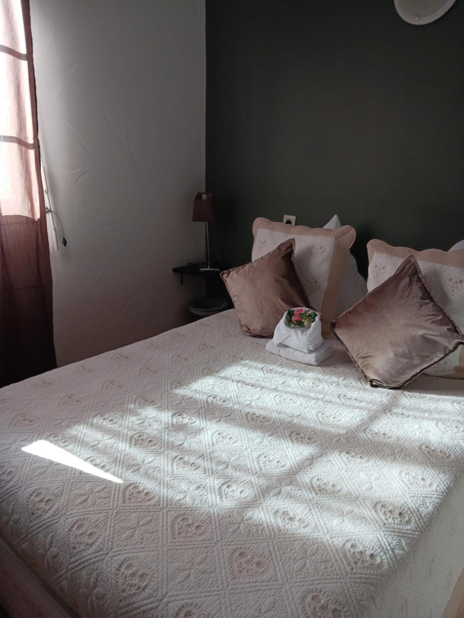 Hotel Du Lac Chateau-Arnoux-Saint-Auban Luaran gambar